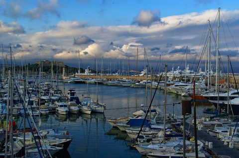 普罗旺斯集市 Provençal Market缩略图