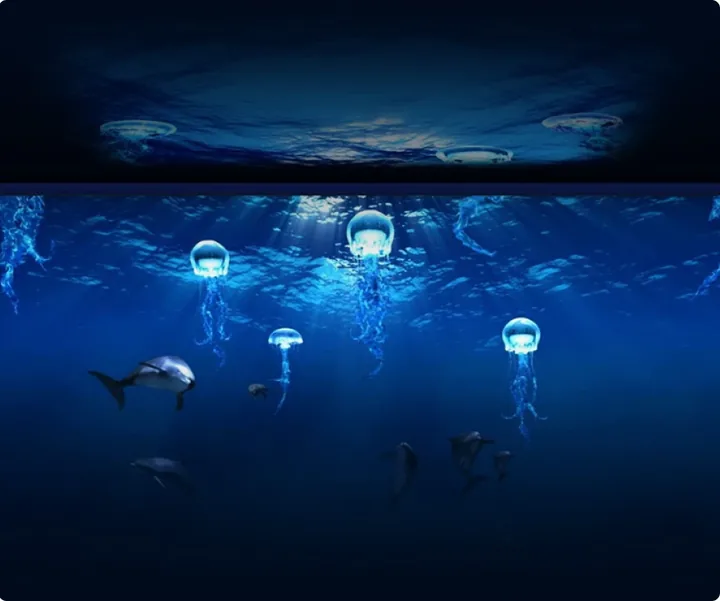 热那亚水族馆内部海洋生物展示