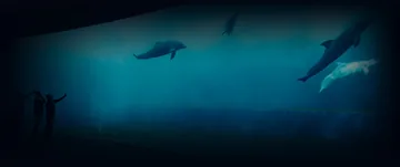 热那亚水族馆 Aquarium of Genoa缩略图