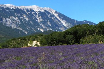 瓦朗索勒 / 戈尔德 / 塞南克修道院 Valensole / Gordes / Sénanque Abbey缩略图