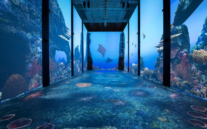 海洋博物馆沉浸式海洋展厅